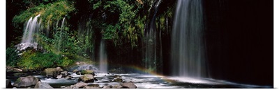 Rainbow formed in front of waterfall in a forest, California,