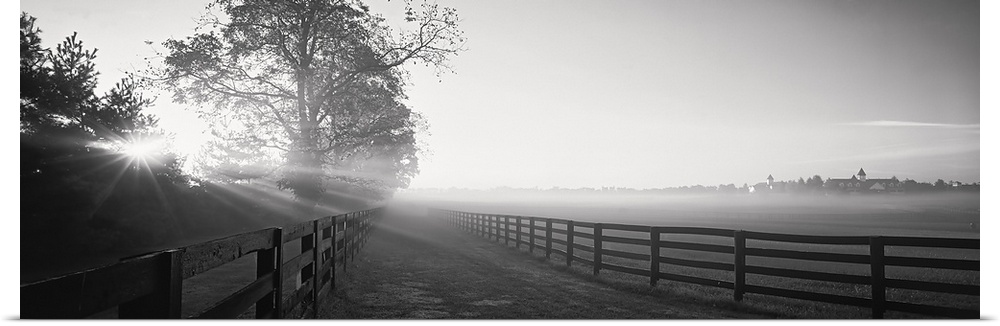 Ranch at dawn, Woodford County, Kentucky