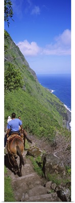 Rear view of a group of men riding mules, Pacific Ocean, Kalaupapa, Molokai, Hawaii