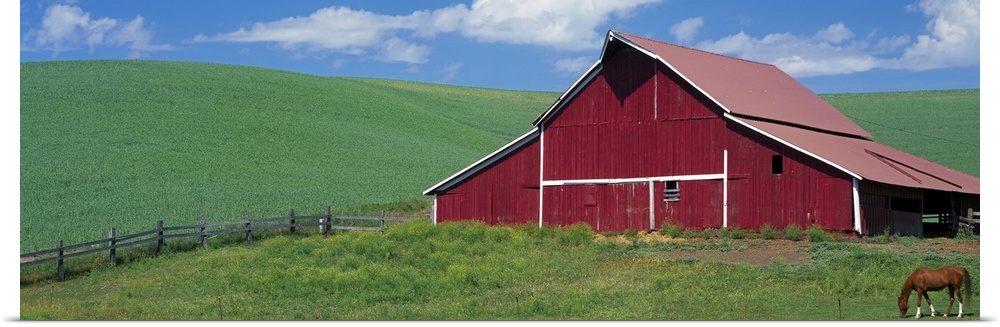 Red Barn With Horses WA