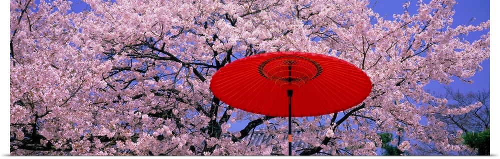Panoramic wall docor of brightly colored flowering trees with an umbrella in the foreground.