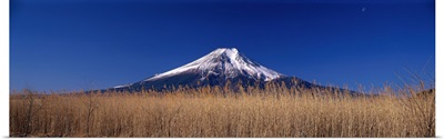 Reeds and Mt. Fuji Oshino Yamanashi Japan