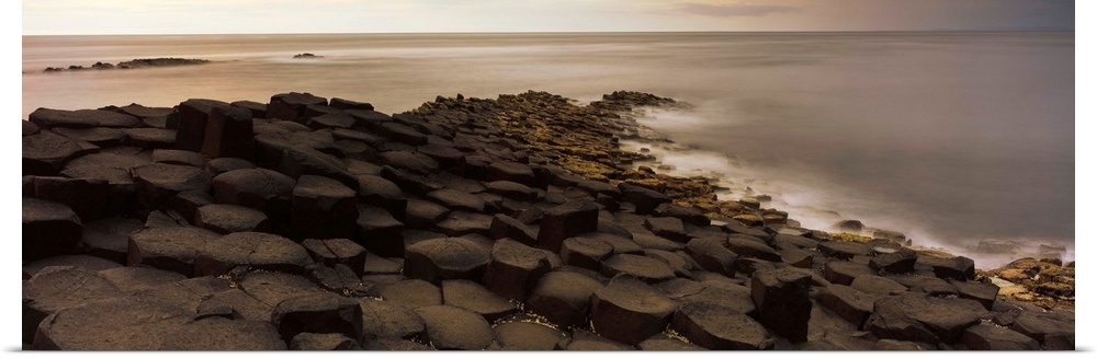 Reef at the Giant's Causeway, County Antrim, Northern Ireland