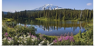 Reflection of a mountain and trees in water, Mt Rainier, Reflection Lake, Mt Rainier National Park, Pierce County, Washington State,