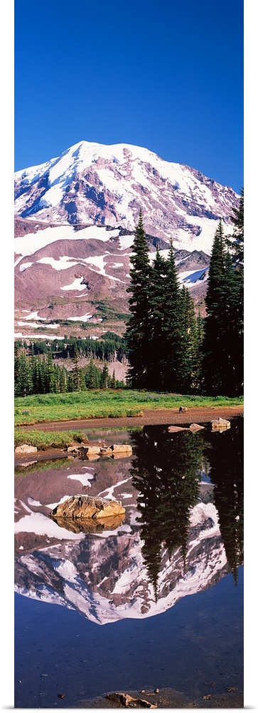 Reflection of a mountain in a lake, Mt Rainier, Pierce County, Washington State,