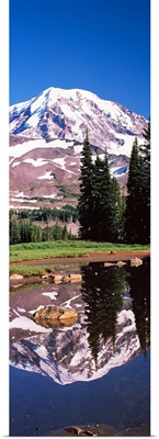 Reflection of a mountain in a lake, Mt Rainier, Pierce County, Washington State,