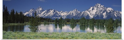 Reflection of a mountain range and pine trees in water, Grand Teton National Park, Wyoming
