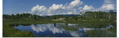 Reflection of clouds in a pond, Molas Divide, San Juan National Forest, Colorado