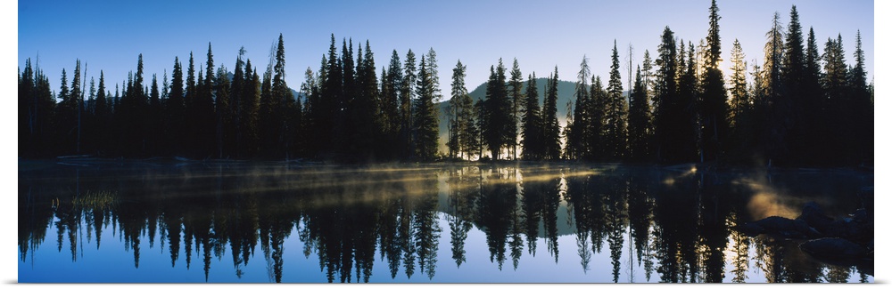 Reflection of pine trees in a lake, Sparks Lake, Deschutes County, Oregon