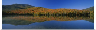 Reflection of trees and hill in a lake, Heart Lake, Adirondack, New York State