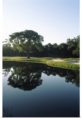 Reflection of trees in a lake, Kiawah Island Golf Resort, Kiawah Island, Charleston County, South Carolina