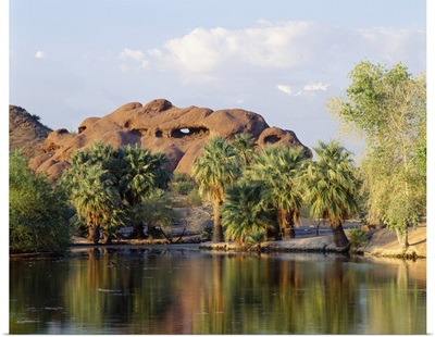 Reflection of trees in a park, Papago Park, Phoenix, Maricopa County, Arizona