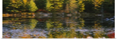 Reflection of trees in a pond, Jordan Pond, Acadia National Park, Maine