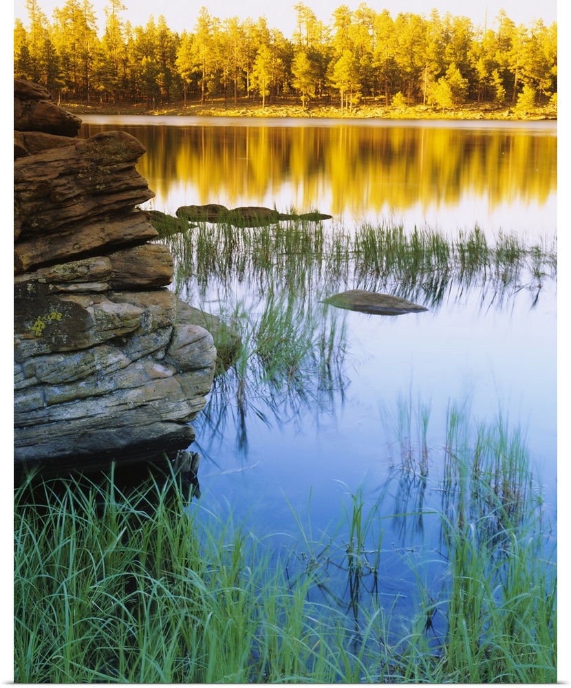 Vertical photo of a still lake reflecting the brilliant colored fall trees and surround grass in it's glassy surface.