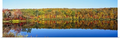Reflection of trees in water, Lake Hamilton, Massachusetts