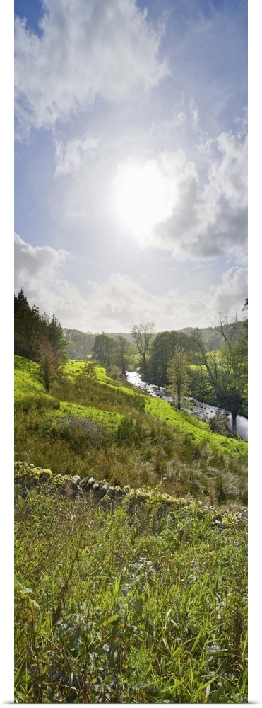 River flowing in a valley, Tarnbrook Wyre, Lee, Forest Of Bowland, Lancashire, England