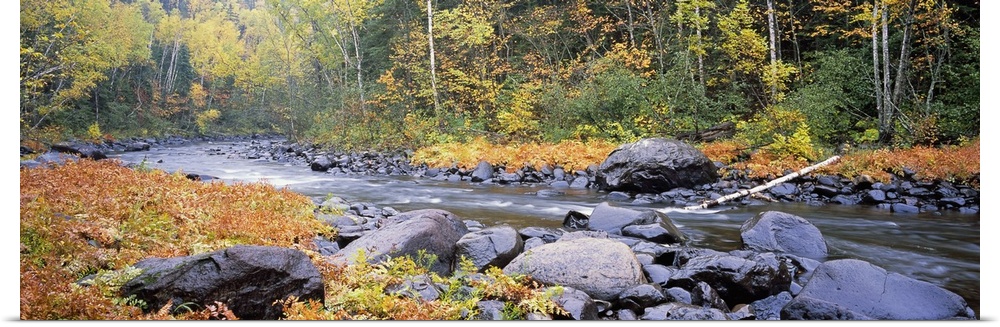 Panoramic photograph of rock stream running through the woods.