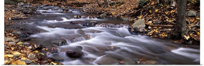 River flowing through a forest Delaware Water Gap National Recreation Area New Jersey