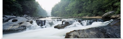 River flowing through a forest, Raven Chute, Chattooga River, Georgia and South Carolina