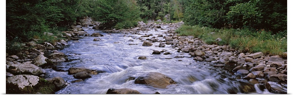 A river flows over rocks with thick brush and foliage lining both sides of the water.