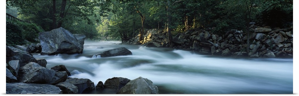 Panoramic photograph of rocky stream lined with forest.