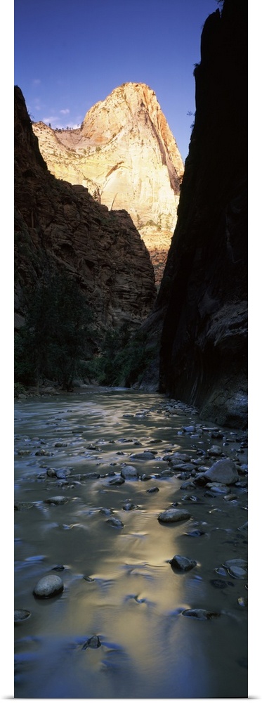 River with rock formations in the background, Virgin River, Zion National Park, Utah, USA
