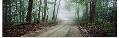 Road passing through a forest, Skyline Drive, Jackson-Washington State Forest, Indiana