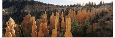 Rock formations in a canyon, Fairland Canyon, Bryce Canyon National Park, Utah