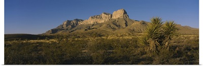 Rock formations on a landscape, Guadalupe Mountains National Park, Texas