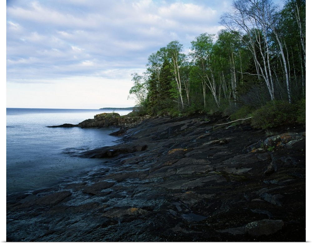 Large photograph shows a dense forest next to the rocky shore of a large body of water within the Midwestern United States...
