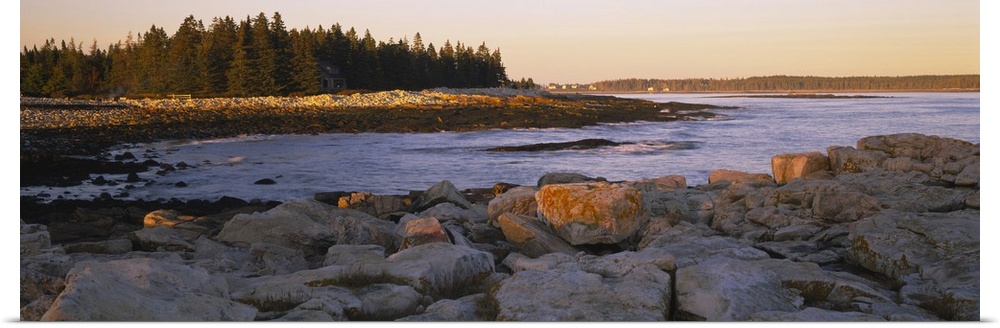 Edge of the water near a rocky shore and forest of pine trees, illuminated by the golden light of the sunset.
