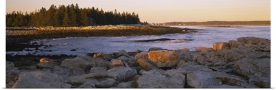 Rocks at the coast, Acadia National Park, Maine