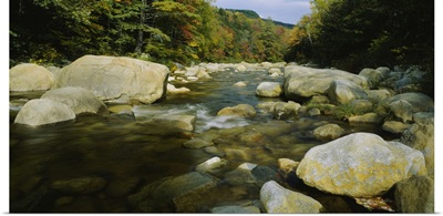 Rocks in a river, Swift River, White Mountains, New Hampshire, New England