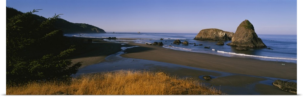 Wide angle photograph looking over grasses to the shoreline on Cannon Beach, large rocks jutting out of the water, in Oregon.