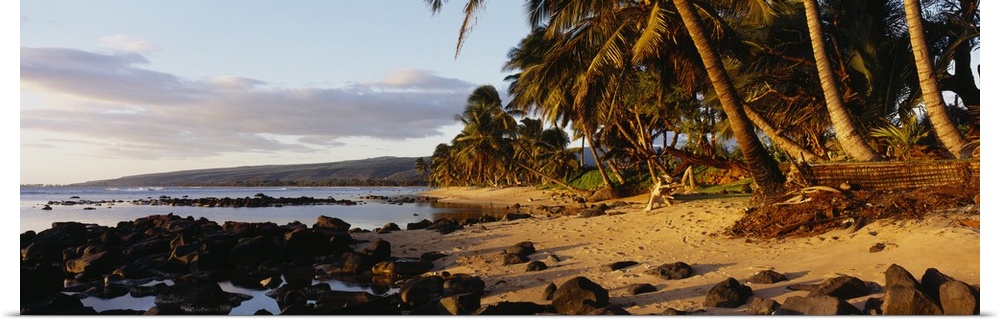 This decorative wall art is a panoramic photograph of sunset on a tropical beach covered with volcanic boulders and lined ...