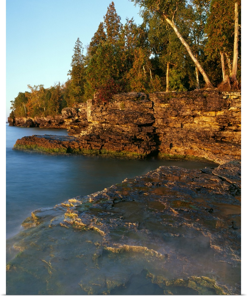 Cliffs on the edge of water are photographed with tall trees standing on them and curving back into the distance.