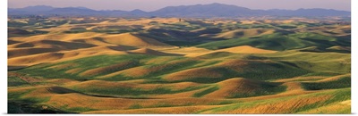 Rolling landscape with mountains in the background, Steptoe Butte State Park, Palouse, Whitman County, Washington State,