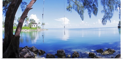 Rope Swing Over Water Florida Keys FL