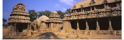 Ruins of a temple, Pancha Rathas, Bhima Ratha, Mahabalipuram, Tamil Nadu, India