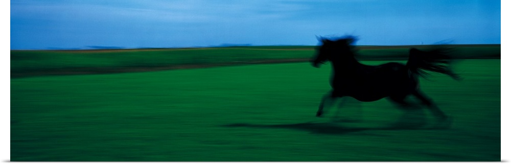 Running Horse Stelle IL