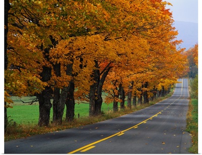 Rural Road in Autumn