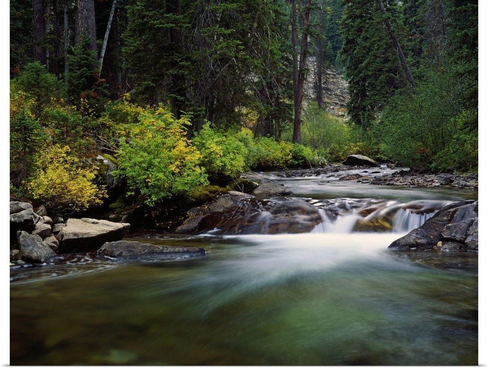 Rushing water of Cascade Creek, Grand Teton National Park, Wyoming