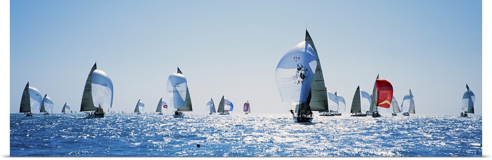 Oversized, panoramic photograph of a large group of sailboats in rippling waters, sparkling in the sunlight on a clear day.