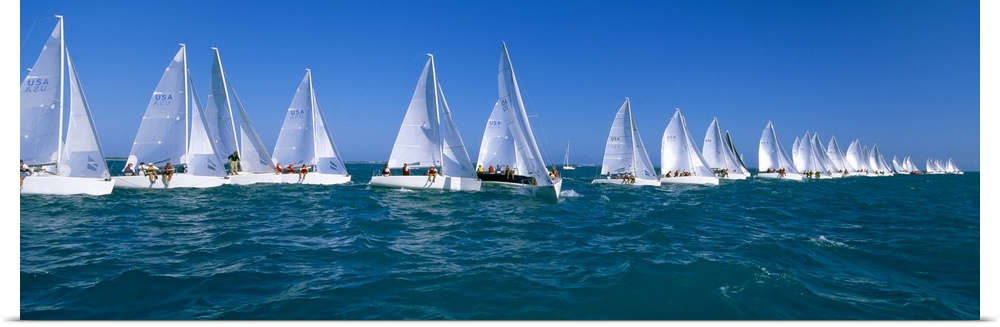 Long and narrow photo print of sailboats lined up in the ocean for a race.