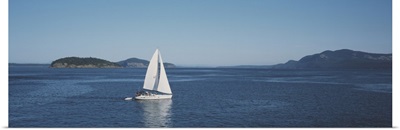 Sailboat sailing in the sea, San Juan, Washington State