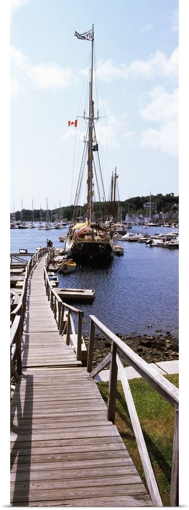 Sailboats at a harbor, Camden, Knox County, Maine,