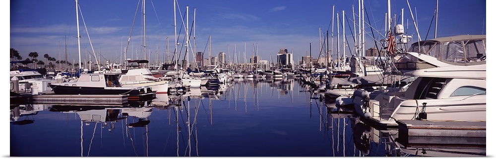 Sailboats at a harbor, Long Beach, Los Angeles County, California, USA