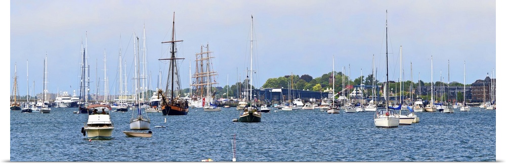 Sailboats in an ocean, Newport Harbor, Newport, Rhode Island