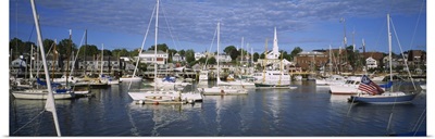 Sailboats in the sea, Camden, Maine