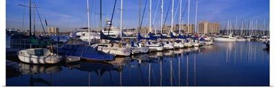 Sailboats Marina del Rey CA